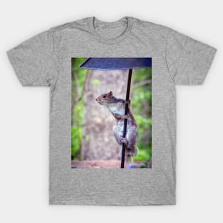 Grey squirrel on a pole T-Shirt